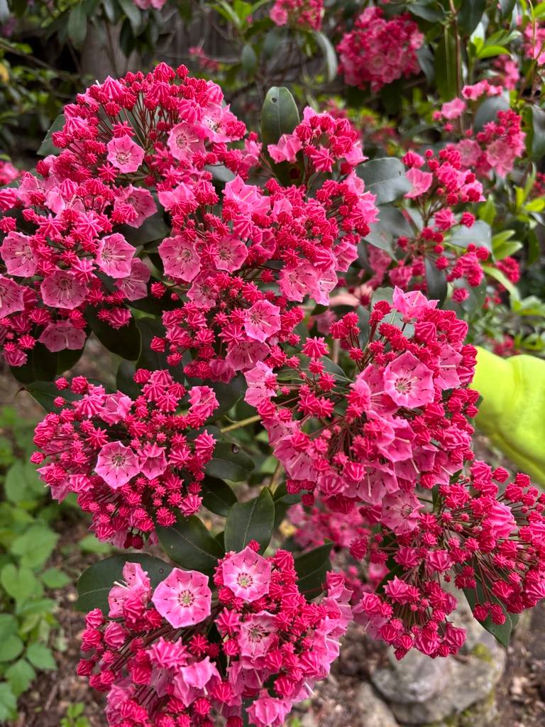 Spring Is In The Air